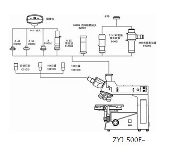 金相显微镜的结构与使用方法