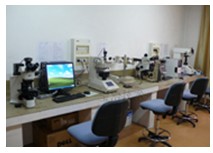 金相显微镜的结构与使用方法