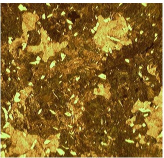 金相显微镜的结构与使用方法