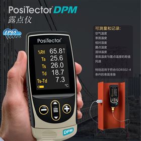 DeFelsko狄夫斯高Positector露点仪DPM1
